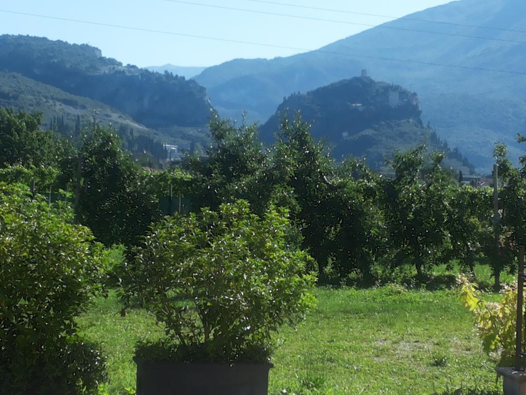 Agritur Arcosole B&B Camping Εξωτερικό φωτογραφία